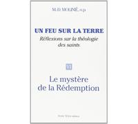 Un feu sur la terre nøvi le mystere de la redemption