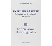 Un feu sur la terre nøviii -le bon larron et les stigmates