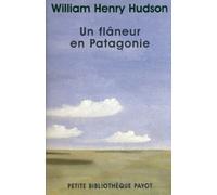 Un flâneur en Patagonie