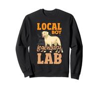 Un garçon Local drôle, Chien Labrador, Chasse au Canard Sweatshirt
