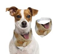 Un Golden Retriever,Bandanas pour Chien, écharpe en Coton, Bavoirs réglables pour Animaux de Compagnie,S