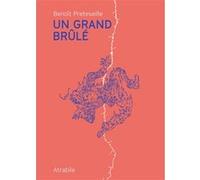 Un Grand Brûlé Benoît Preteseille (Auteur)