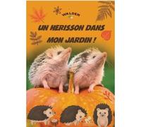 Un hérisson dans mon jardin