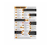 UN Human Rights Charter Poster, Universal Declaration UDHR Historical Print, Inspirational Canvas Art for Educators, Lawyers, Social Justice Advocates(Framed,16x24inch(40x60cm))