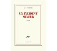 Un incident mineur Leo Fourrier (Auteur)