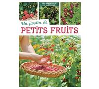 Un jardin de petits fruits