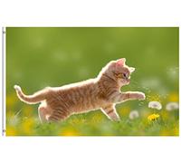 Un Jeune Chat Joue Avec Un Pissenlit En Contre-Jour Sur Une Prairie Verte Drapeaux Décoratifs D'Extérieur 90X150Cm Personnalisée Drapeau De Festival Durable Bannière Amusante D'Extérieur Pour
