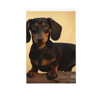 Un joli drapeau de bienvenue en forme de teckel - 61 x 91 cm - Ne se décolore pas - Double face - Bannière d'extérieur pour cour, porche, pelouse