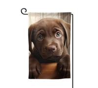 Un joli drapeau de bienvenue imprimé chien labrador décoration extérieure tous temps jardin patio drapeau 30,5 x 45,7 cm plusieurs formes