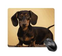 Un joli tapis de souris carré teckel portable avec base en caoutchouc antidérapant 18 x 22 cm, tapis de souris de jeu ultra fin pour ordinateur portable, accessoires de bureau