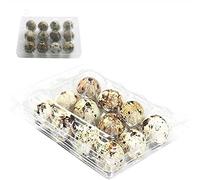 Un jouet pratique à emporter partout - Grâce à sa taille compacte, le Slider Toy est facile à emporter avec vous n'importe où. Vous pouvez le glisser dans votre poche ou votre sac à main, c