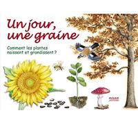 Un jour, une graine: Comment les plantes naissent et grandissent ?