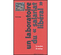 Un Laboratoire Du "Salariat Libéral - Les Instituts De Sondage