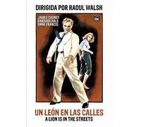 Un león en las calles