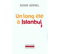 Un long été à Istanbul