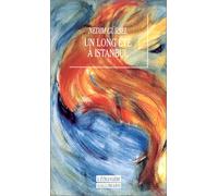 Un long été à Istanbul