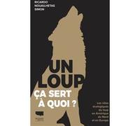 Un loup, ça sert à quoi ? Ricardo Nouailhetas Simon (Auteur)