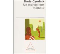 Un Merveilleux Malheur