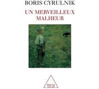 Un merveilleux malheur