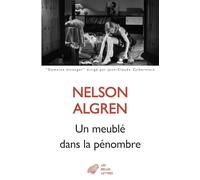 Un meublé dans la pénombre