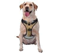 Un Mignon Chien Beagle est allongé sur Le Sol,Harnais pour Animaux de Compagnie, Harnais réfléchissant réglable pour Chien,S