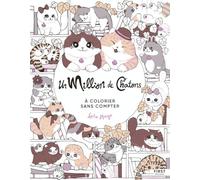 Lulu Mayo – Un million de chatons – Livre-jeu – Relié