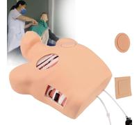 Un modèle de drainage par thoracentèse, une formation médicale avec couleur, un volume et viscosité fluide réglables, démontrant la structure thoracique