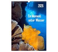 Un moment sous l'eau, Version française (Calendrier mural 2026 DIN A3 portrait), Calendrier CALVENDO mensuel