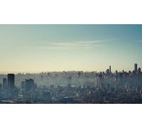 Un monde fragile et merveilleux