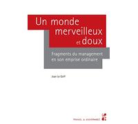 Un monde merveilleux et doux: Fragments du management en son emprise ordinaire