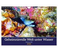Un monde sous-marin mystérieux - La nuit sur le récif, Version française (Calendrier mural 2026 DIN A4 portrait), Calendrier CALVENDO mensuel