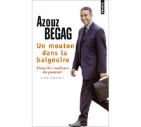 Un mouton dans la baignoire Dans les coulisses du pouvoir - Azouz Begag - Points - Poche - Essai