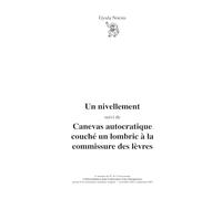 Un nivellement & Canevas autocratique couché un lombric à la commissure des lèvres: Outrecuidances dans l'entrecuisse d'une désespérance - novembre 2003 à septembre 2007