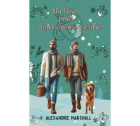 Un Noël pour deux cœurs perdus