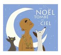 Un Noël tombé du ciel Aurélie Abolivier (Auteur), Aurélie Abolivier (Illustration), Agnès Bertron-Martin (Auteur)