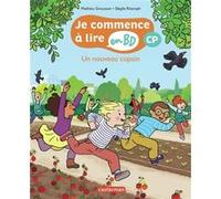 Un nouveau copain Mathieu Grousson (Auteur), Sybille Ristroph (Illustration)