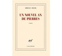 Un nouvel an de pierres
