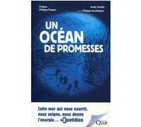 Un océan de promesses Anais Joseph (Auteur), Philippe Goulletquer (Auteur)