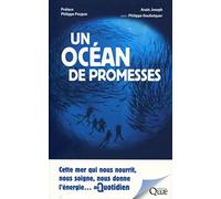 Un océan de promesses: Cette mer qui nous nourrit, nous soigne, nous fournit l'énergie...au quotidien. Préface Philippe Poupon