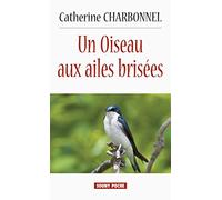 Un oiseau aux ailes brisées