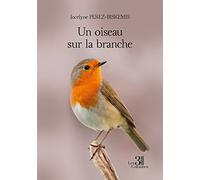 Un oiseau sur la branche