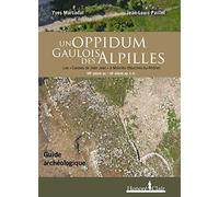 Un oppidum gaulois des Alpilles: Les Caisses de Jean Jean à Mouriès (Bouches-du-Rhône) VIIe siècle avant J-C - IIIe siècle après J-C