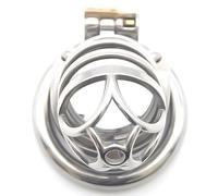 Un Paradis pour Oiseaux à Travers Le Temps : La Cage à Oiseaux en Acier Inoxydable Fait L'expérience d'un Nouveau Royaume !