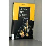 Un pavé dans la mare