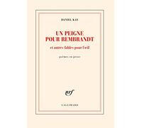 Un peigne pour Rembrandt et autres fables pour l'oeil