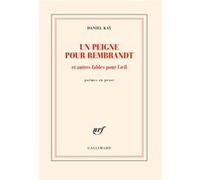 Un peigne pour Rembrandt et autres fables pour l'oeil Daniel Kay (Auteur)