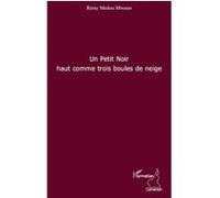 Un petit noir haut comme trois boules de neige Rémy Medou Mvono (Auteur)