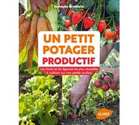 Un petit potager productif