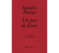 Un peu de fièvre - Sandro Penna - Ypsilon - broché - Poésie