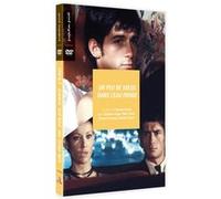 Un peu de soleil dans l'eau froide DVD E